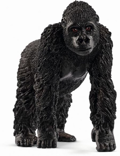 [66914771] GORILA HEMBRA