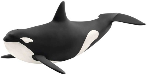 [66914807] ORCA