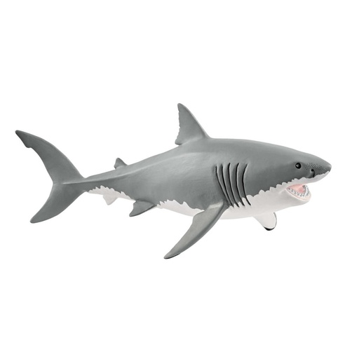 [66914809] TIBURON BLANCO