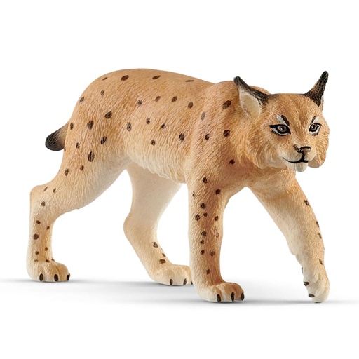 [66914822] LINCE