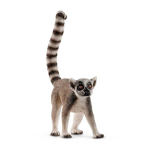 [66914827] LEMUR COLA ANILLADA