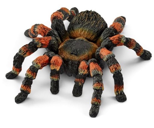 [66914829] TARANTULA