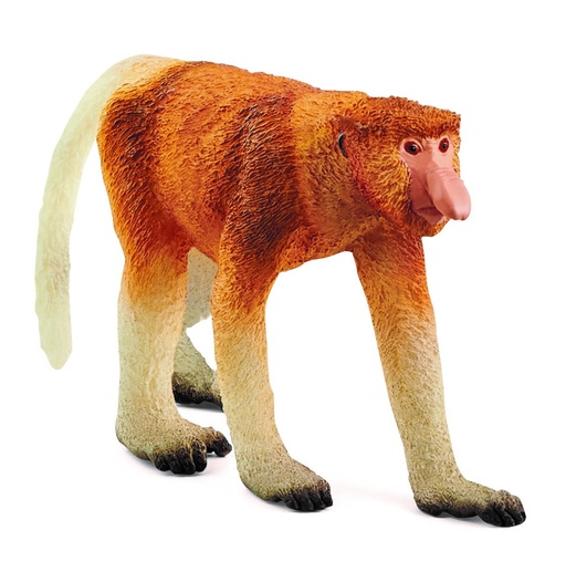 [66914846] MONO NARIGUDO