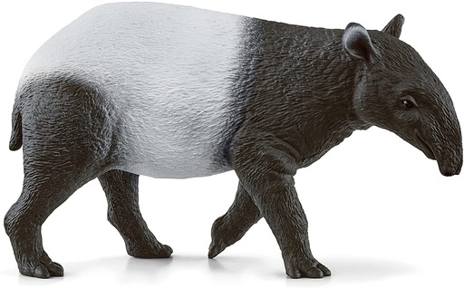 [66914850] TAPIR