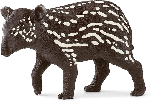 [66914851] TAPIR MACHO