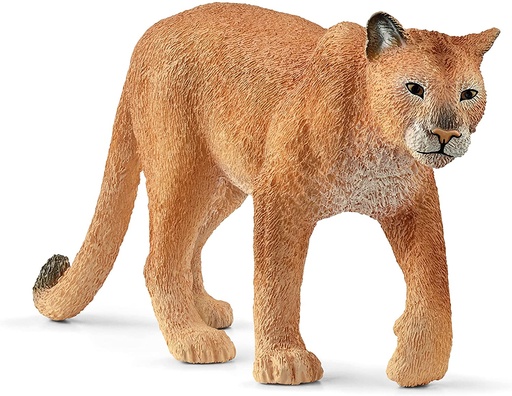 [66914853] PUMA