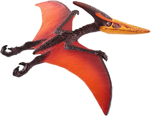 [66915008] PTERANODON