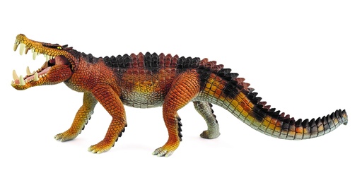 [66915025] KAPROSUCHUS
