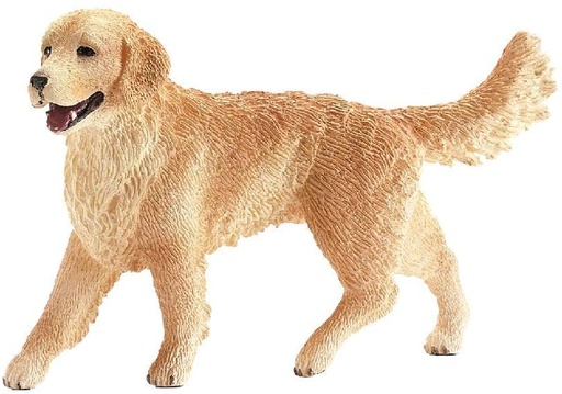 [66916395] GOLDEN RETRIEVER HEMBRA