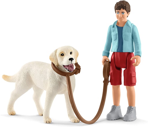 [66942478] PASEO C/LABRADOR RETRIEVER