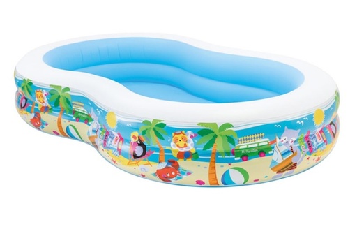 [90756490] PISCINA PARADISE 262x160x46