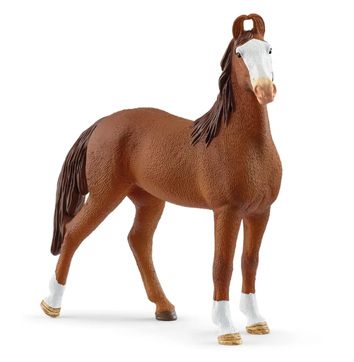 [66914897] YEGUA MARWARI