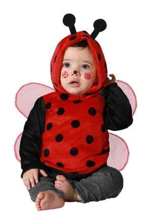 [01871960] DISFRAZ MARIQUITA 6-12 M.