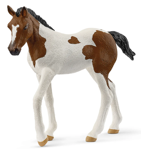 [66914899] POTRO PAINT HORSE