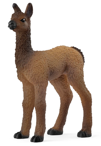 [66914890] POTRO DE LLAMA
