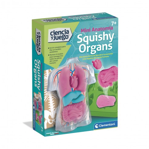[06655577] ANATOMIA SQUISHY ORGANS