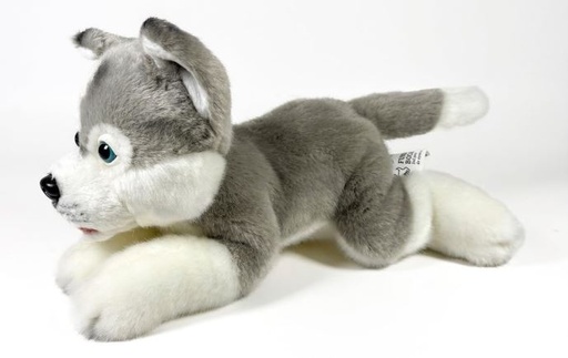 [56733295] PELUCHE HUSKY TUMB. 25 CM.