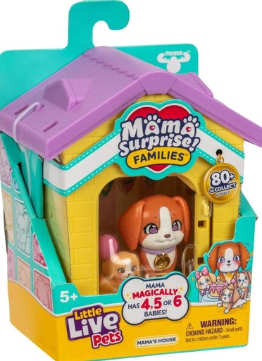 [30226660] L.L.P. MAMAS HOUSE SURT.