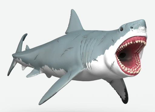 [66915055] MEGALODON