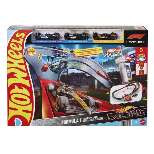[24529112] PISTA RACING F1+3 COCHES