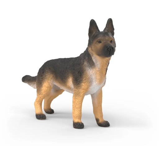 [66914924] PASTOR ALEMAN HEMBRA