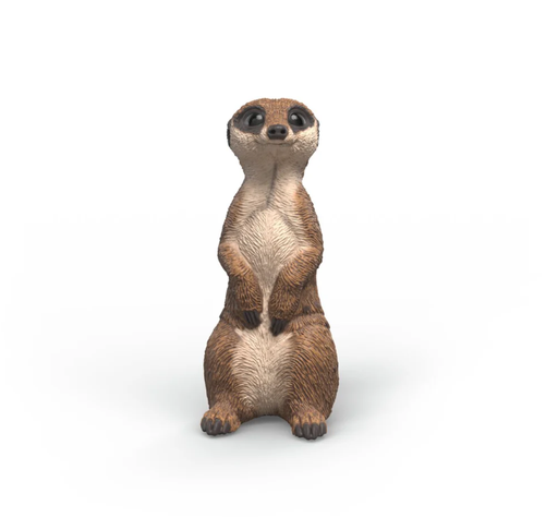 [66914935] SURICATA