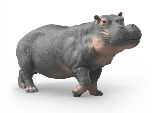 [66914938] HIPOPOTAMO