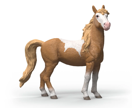 [66914920] YEGUA MUSTANG