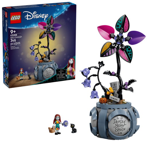 [22543288] MACETA DE SALLY