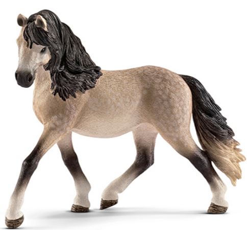 [66913793] YEGUA ANDALUZA