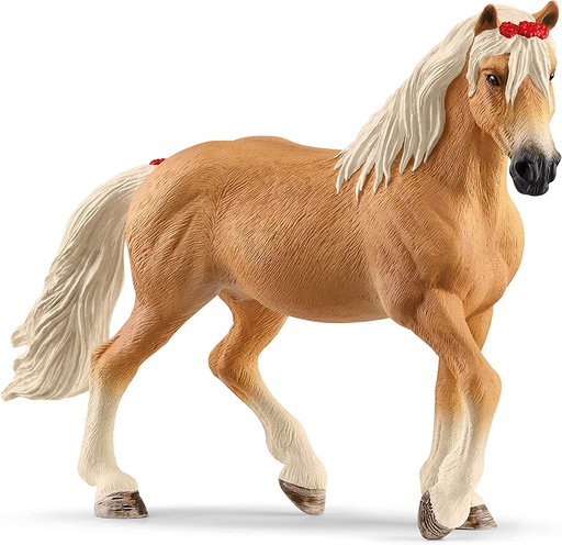 [66913950] YEGUA HAFLINGER