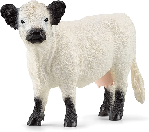 [66913960] VACA GALLOWAY