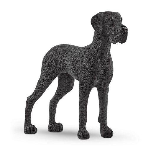 [66913962] GRAN DANES