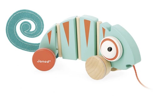 [73538264] ARRASTRE CAMALEON