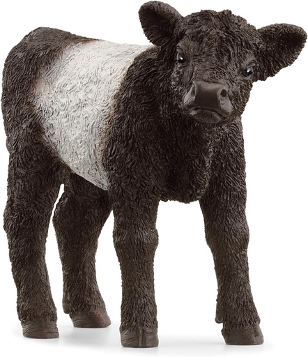 [66913969] TERNERO GALLOWAY