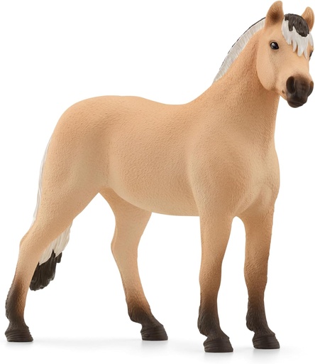[66913979] CABALLO FIORDO