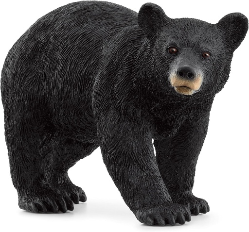 [66914869] OSO NEGRO AMERICANO