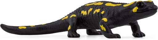 [66914870] SALAMANDRA