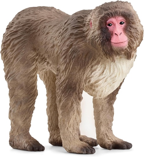 [66914871] MACACO JAPONES
