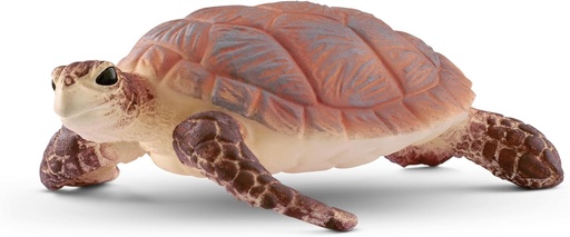 [66914876] TORTUGA CAREY