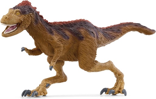 [66915039] MOROS INTREPIDUS