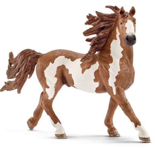 [66913794] SEMENTAL PINTO