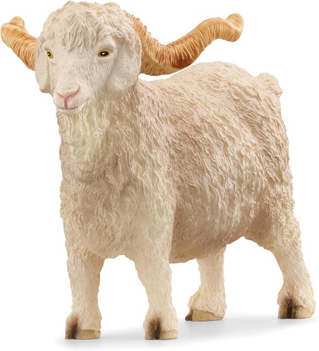 [66913970] CABRA DE ANGORA